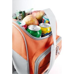 COOLER BAG-IT3101