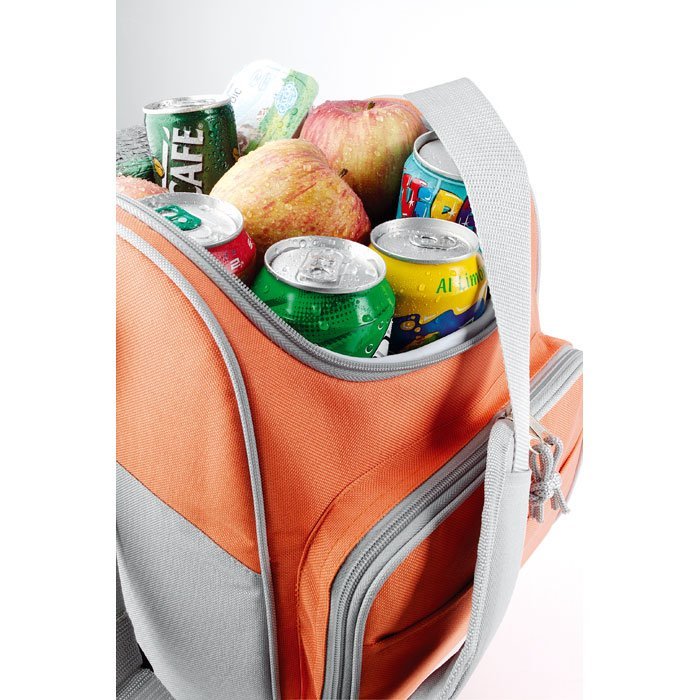 COOLER BAG-IT3101 - Image 2